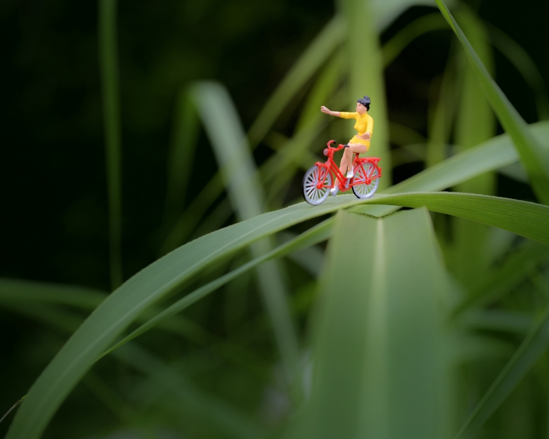 Hands Free Austin by artist Alicia Wells